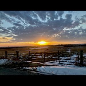 Meet your Posher, Madeline